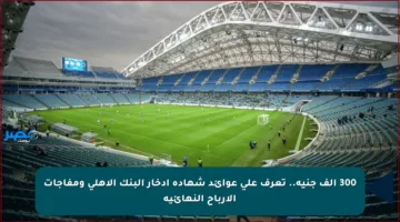 300 ألف جنيه.. تعرف على عوائد شهادة ادخار البنك الأهلي ومفاجآت الأرباح النهائية